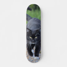Patineta Gato Negro Con Patas Blancas