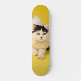 Patineta Gato Persa Caminando Skateboard
