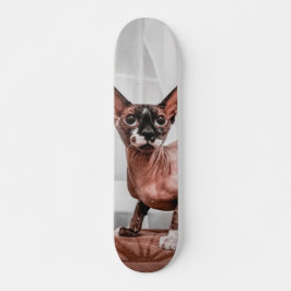 Patineta Gato Raza Esfinge Skateboard