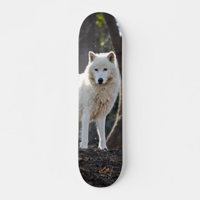 Patineta Lobo Blanco En El Bosque Skateboard (Vorne)