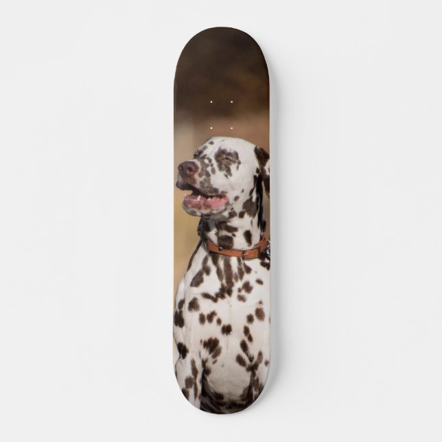 Patineta Perro Dálmata Sentado Al Aire Libre Skateboard (Vorne)