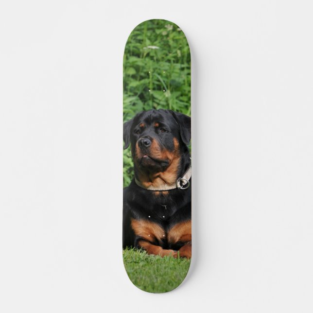 Patineta Perro Rottweiler Vigilando En El Jardín Skateboard (Vorne)
