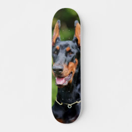 Patineta Poderoso Y Enérgico Perro Dóberman Skateboard