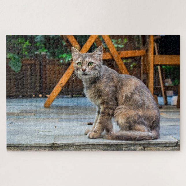 Patio-Katzenpuzzle (Horizontal)