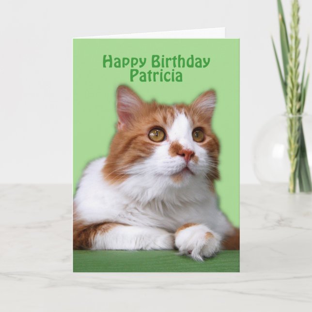 Patricia Happy Birthday Orange und White Cat Karte (Vorderseite)