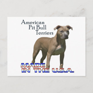 Patriot American Pit Bull Terrier (APBT) Postcard Postkarte