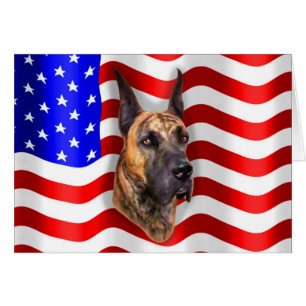 Patriot Dane Brindle