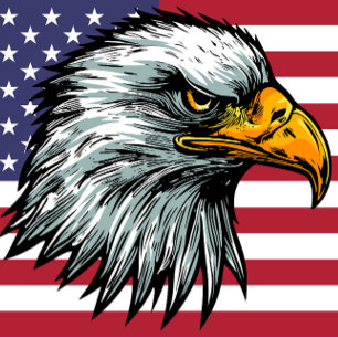 Patriot Glattadler T - Shirt