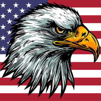 Patriot Glattadler T - Shirt