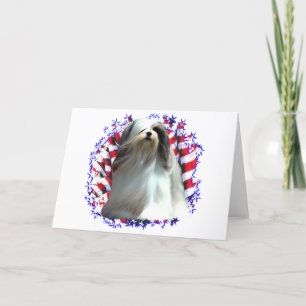 Patriot Lhasas Apso Karte