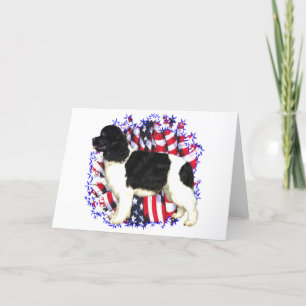 Patriot Neufundlands (landseer) Karte