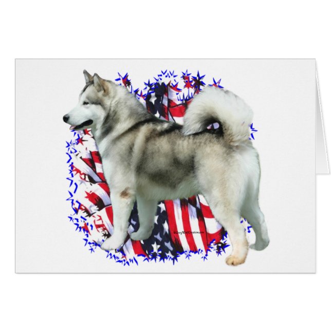 Patriote de Malamute en Alaska (Devant horizontal)