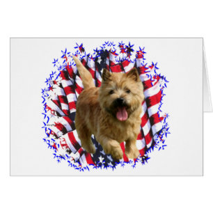 Patriote de Norwich Terrier
