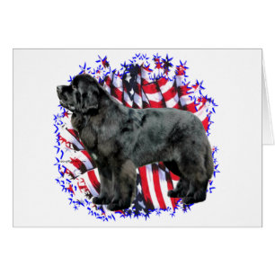 Patriote de Terre-Neuve (noir)