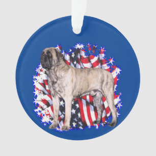 Patriote Mastiff (reproche)