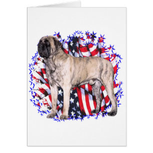 Patriote Mastiff (reproche)