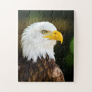 Patriotic Adult American Bald Eagle