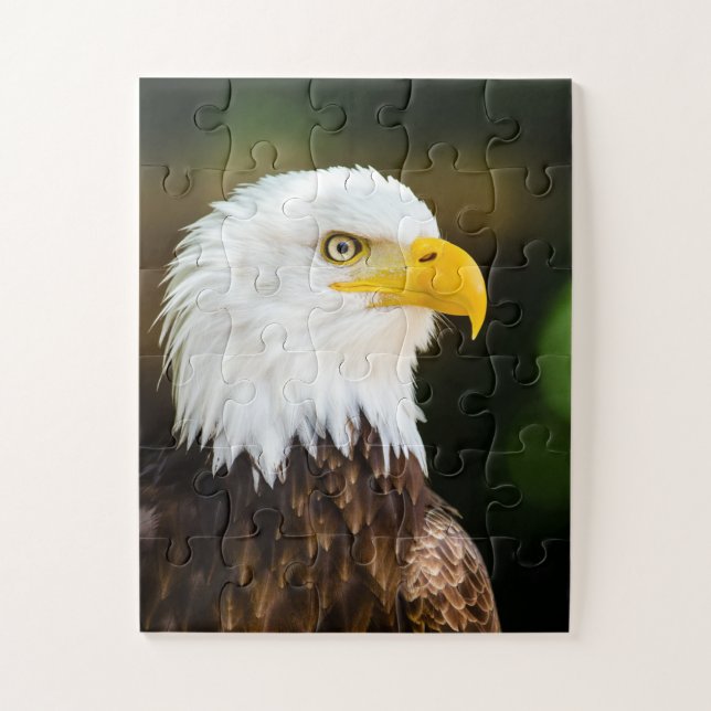 Patriotic Adult American Bald Eagle (Vertikal)