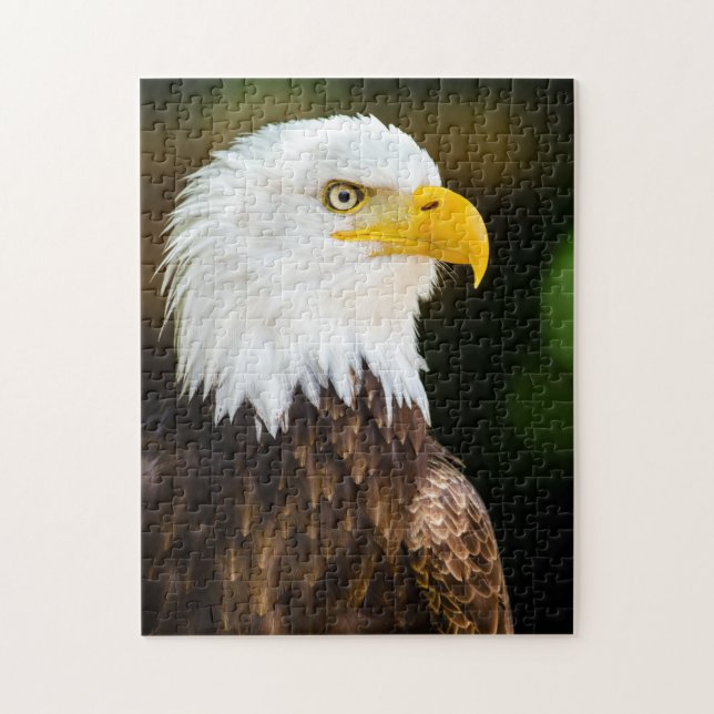 Patriotic Adult American Bald Eagle (Vertikal)