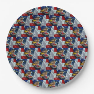 Patriotic American Flag Bald Eagle Wolf Pappteller