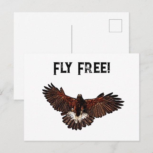 Patriotic Bald Eagle USA Flying Free Nature Art Postkarte (Vorne/Hinten)