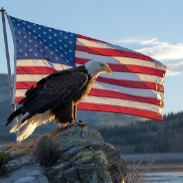 Patriotic Bald Eagle vor der amerikanischen Flagge