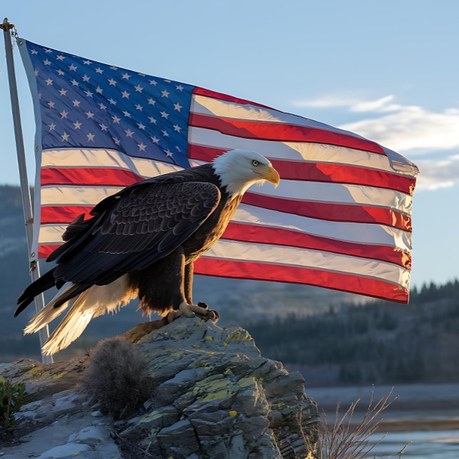 Patriotic Bald Eagle vor der amerikanischen Flagge (Von Creator hochgeladen)