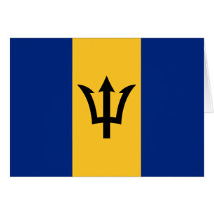 Patriotic Barbados Flag