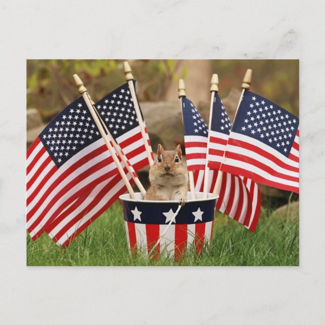 Patriotic Chipmunk Postkarte (Vorderseite)