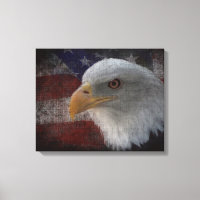 Patriotic Eagle & Flag