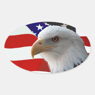 Patriotic Eagle & Flag Ovaler Aufkleber