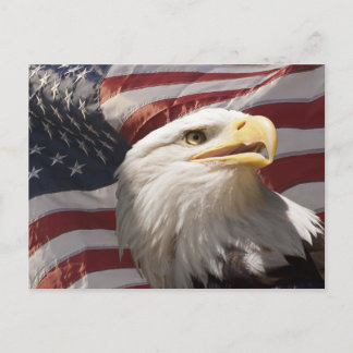 Patriotic Eagle Postcard Postkarte