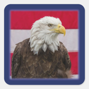 Patriotic Eagle Quadratischer Aufkleber