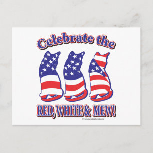 Patriotic Kitty Cats Postkarte