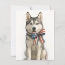 Patriotic Siberian Husky