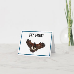 Patriotic USA Eagle Hawk Fly Free Nature Art Karte