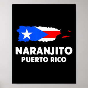 Patriotic Usa Flag Naranjito Poster