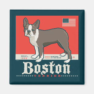 Patriotisch   Boston Terrier Magnet
