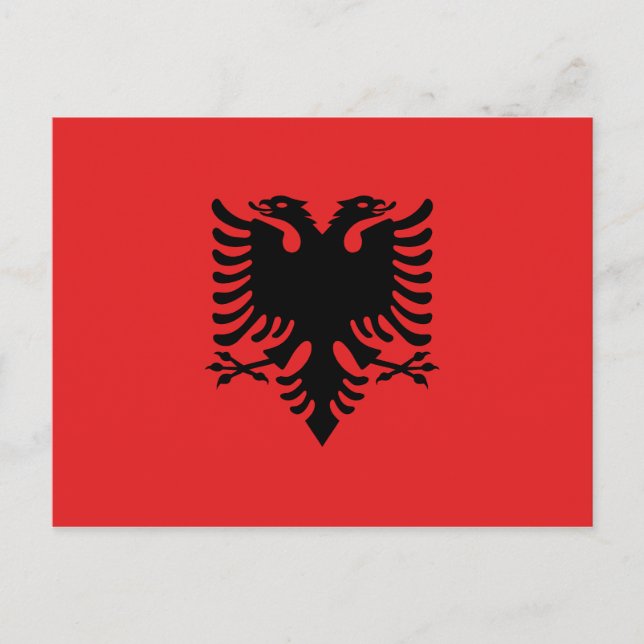 Patriotische albanische Flagge Postkarte (Vorderseite)
