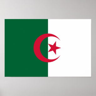 Patriotische algerische Flagge Poster
