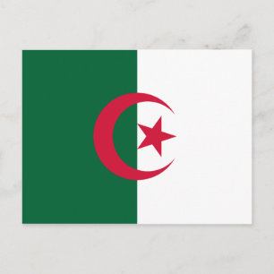 Patriotische algerische Flagge Postkarte
