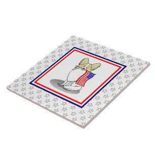 Patriotische amerikanische Flagge USA Papillon (Zi Fliese