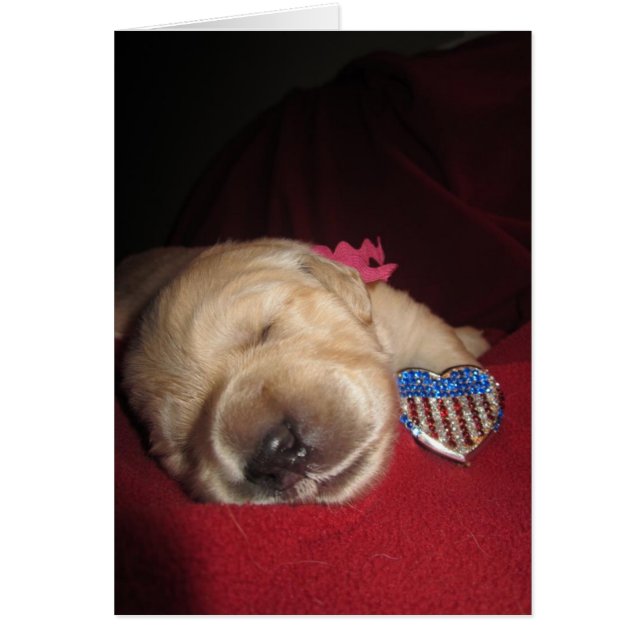 Patriotische Anmut (Vorne)