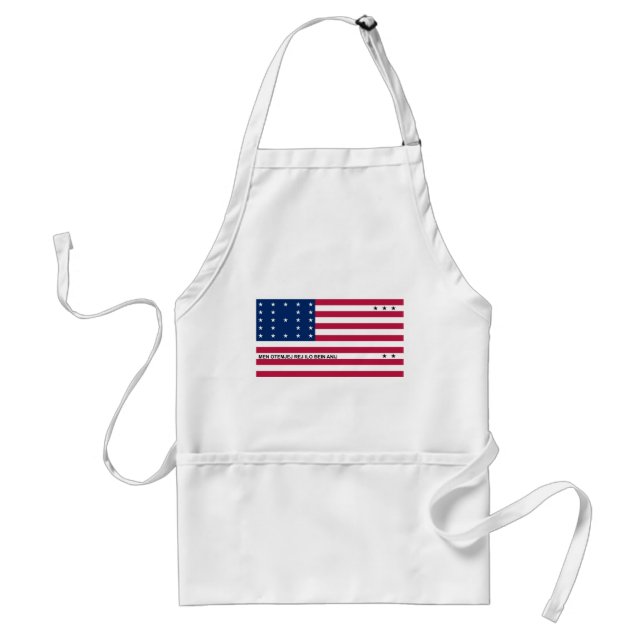 Patriotische Bikini-Atollflagge Schürze (Vorne)