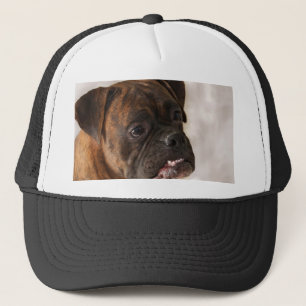 Patriotische Boxer-Hundekappe Truckerkappe