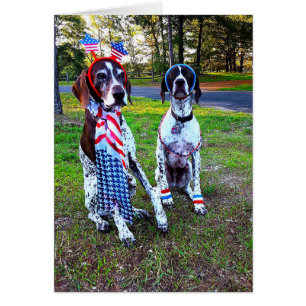 Patriotische Feier Party Hunde & Feuerwerkskarte