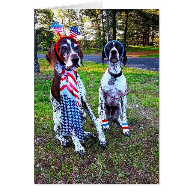 Patriotische Feier Party Hunde & Feuerwerkskarte (Vorne)