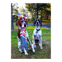 Patriotische Feier Party Hunde