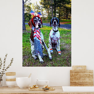 Patriotische Feierparty-Hotdogs Poster