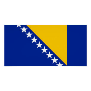 Patriotische Flagge Bosnien und Herzegowinas Poster